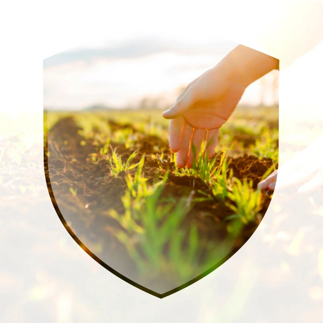 Егіс және егін жинау жұмыстарына кепілдік беру