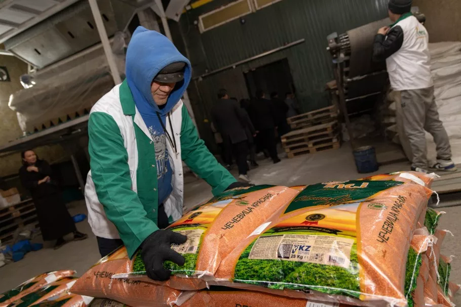 Жасымық өндірісі Қостанай облысында қарқын алуда