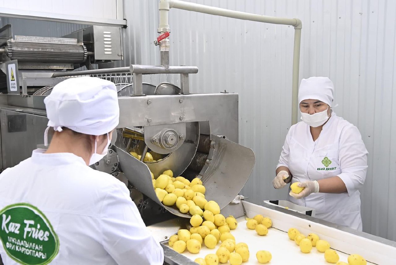 Производство картофеля фри запустили в Кызылорде
