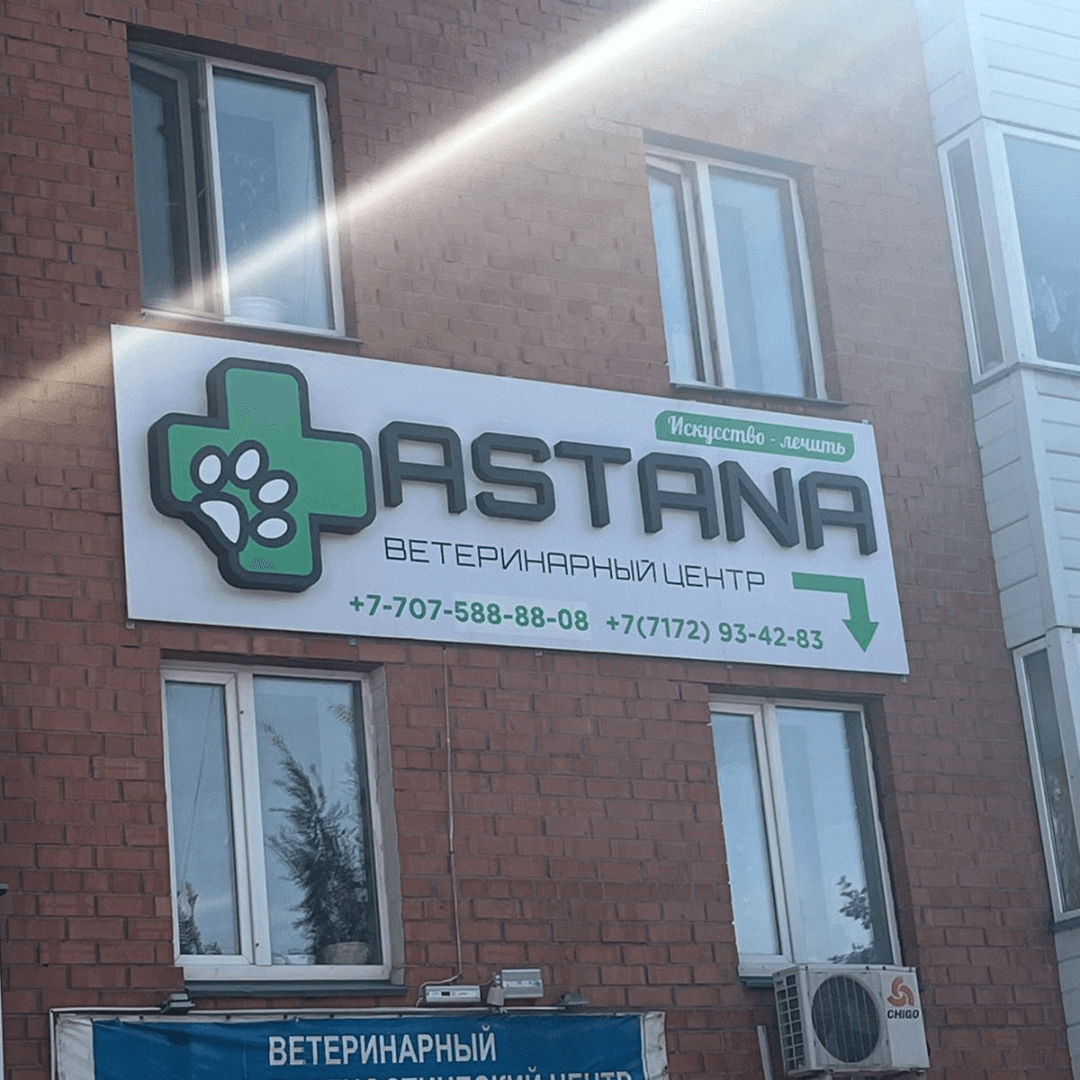 Ветеринарный центр «Astana» – искусство лечить