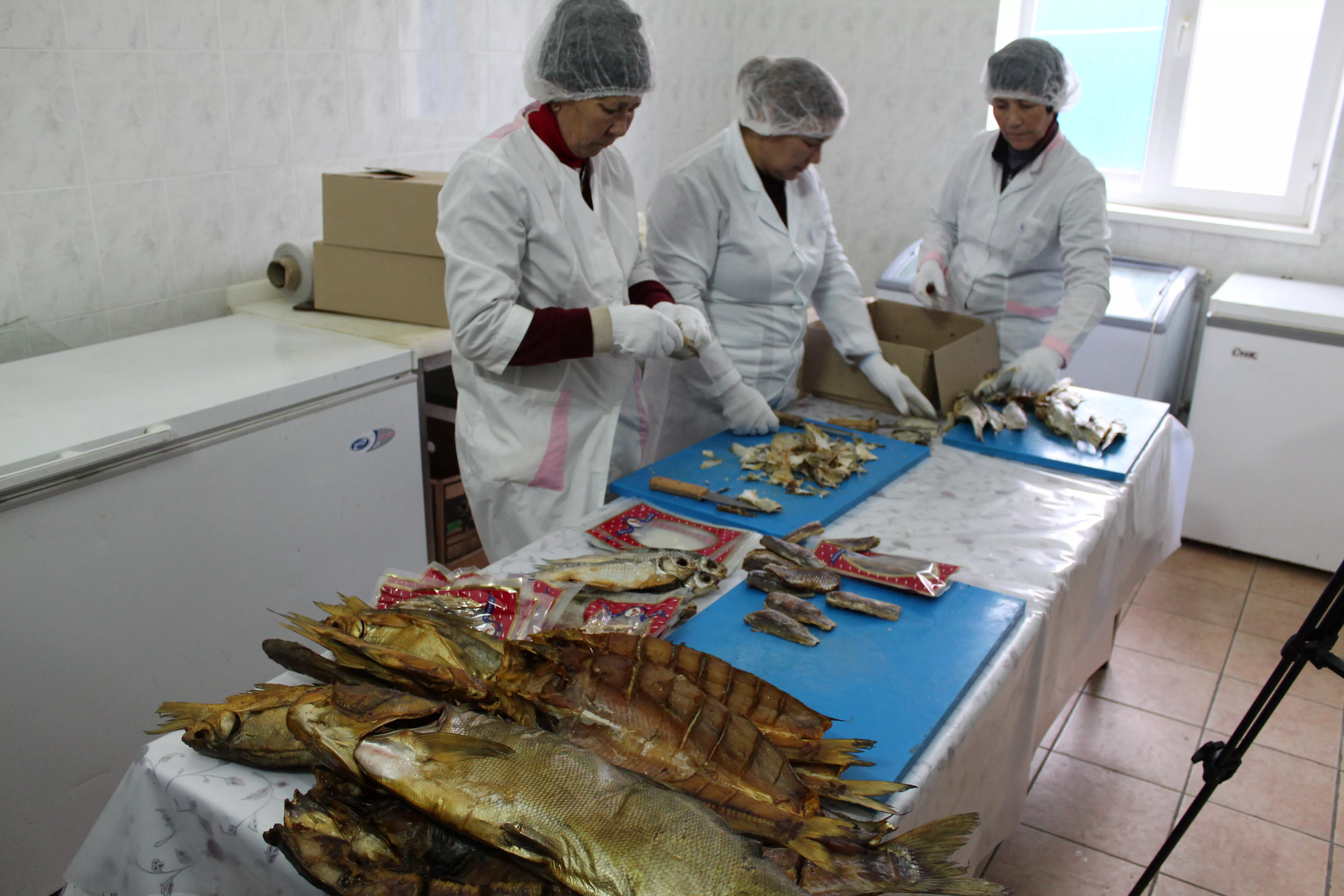 Атырау облысында балық өнеркәсібі дамуда