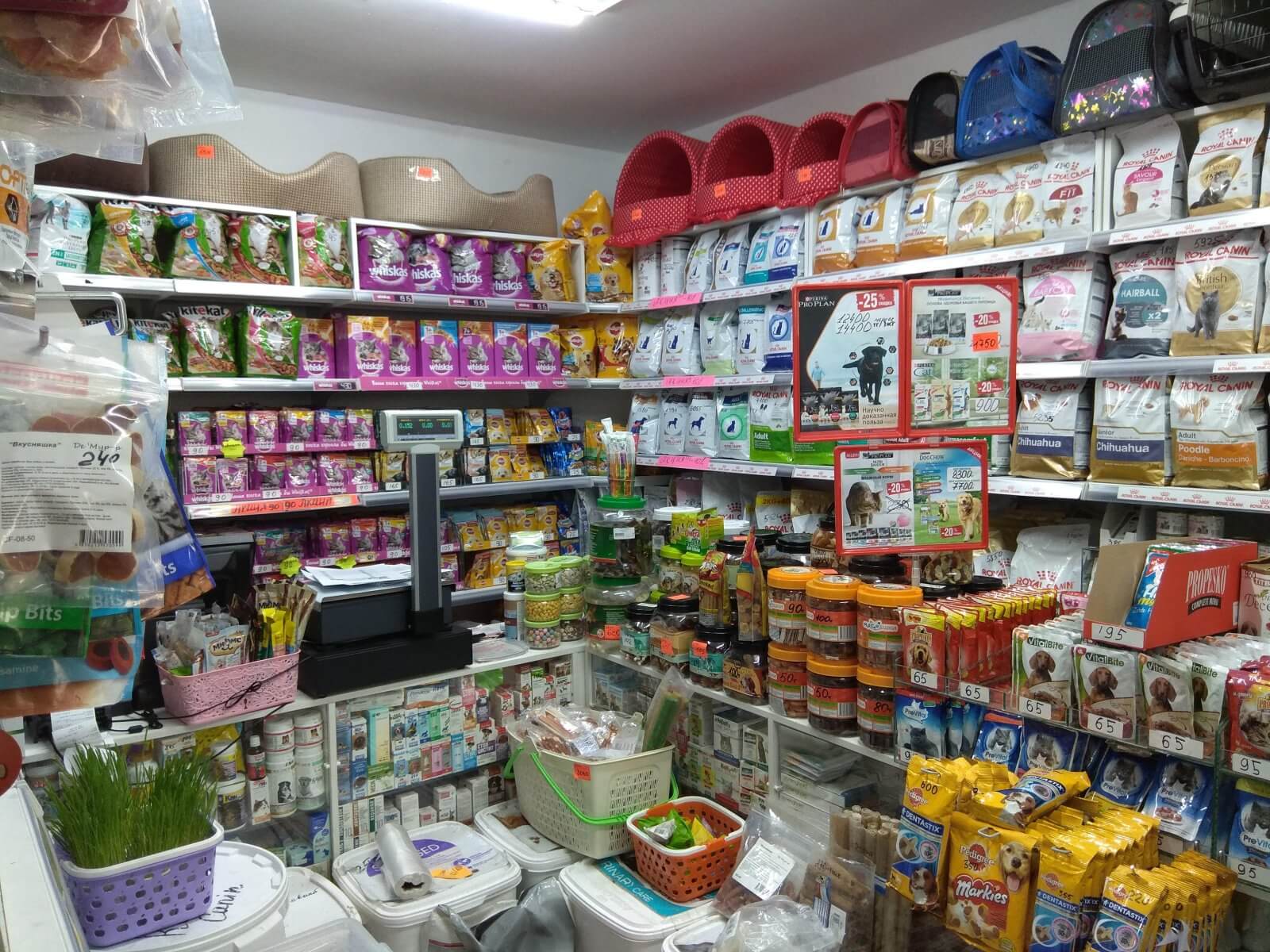 Зоомагазины свао. Как открыть магазин для животных. Зоомагазин. Магазин товаров для животных. Зоомагазин женщина.