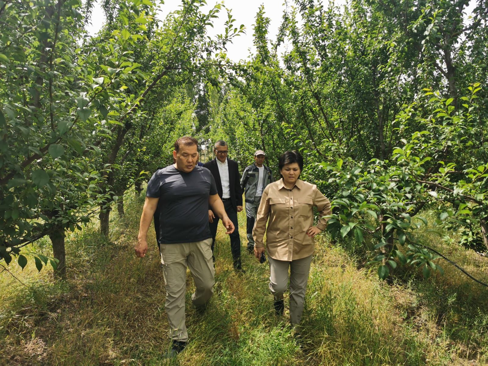 Рабочая поездка Председателя Правления Фонда «Даму» в Туркестанскую область