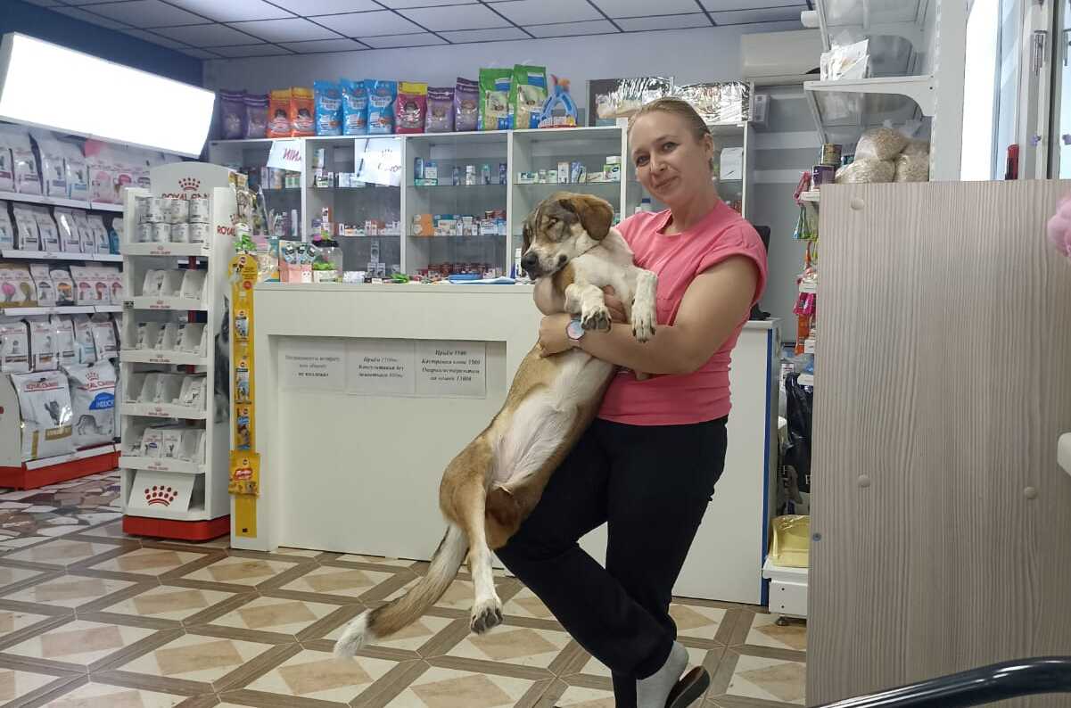 При помощи государственной поддержки в Павлодаре открылся ветеринарный комплекс