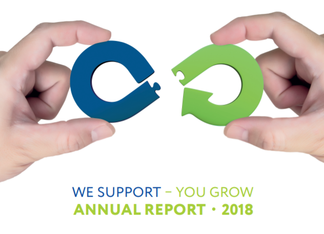 Annual report of JSC "Entrepreneurship Development Fund "Damu" for 2018